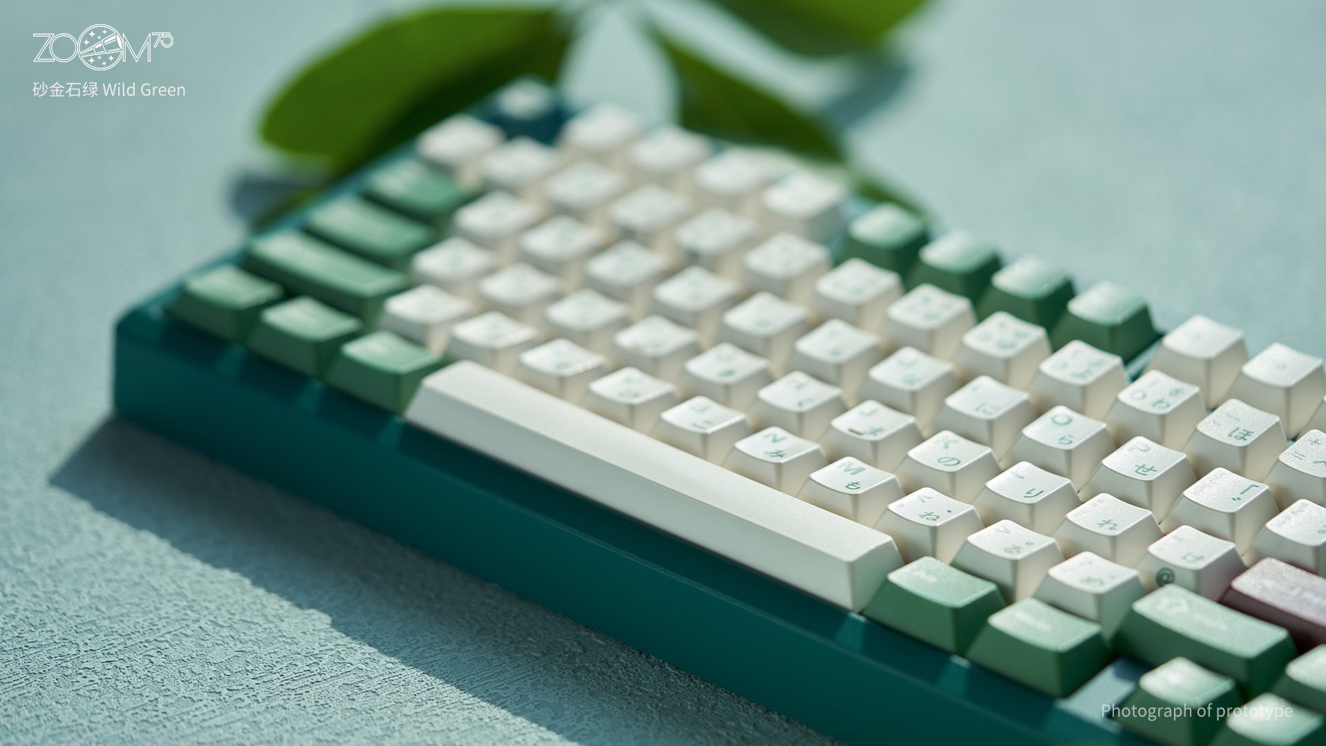 Zoom75 EE Keyboard - Wild Green [Preorder]