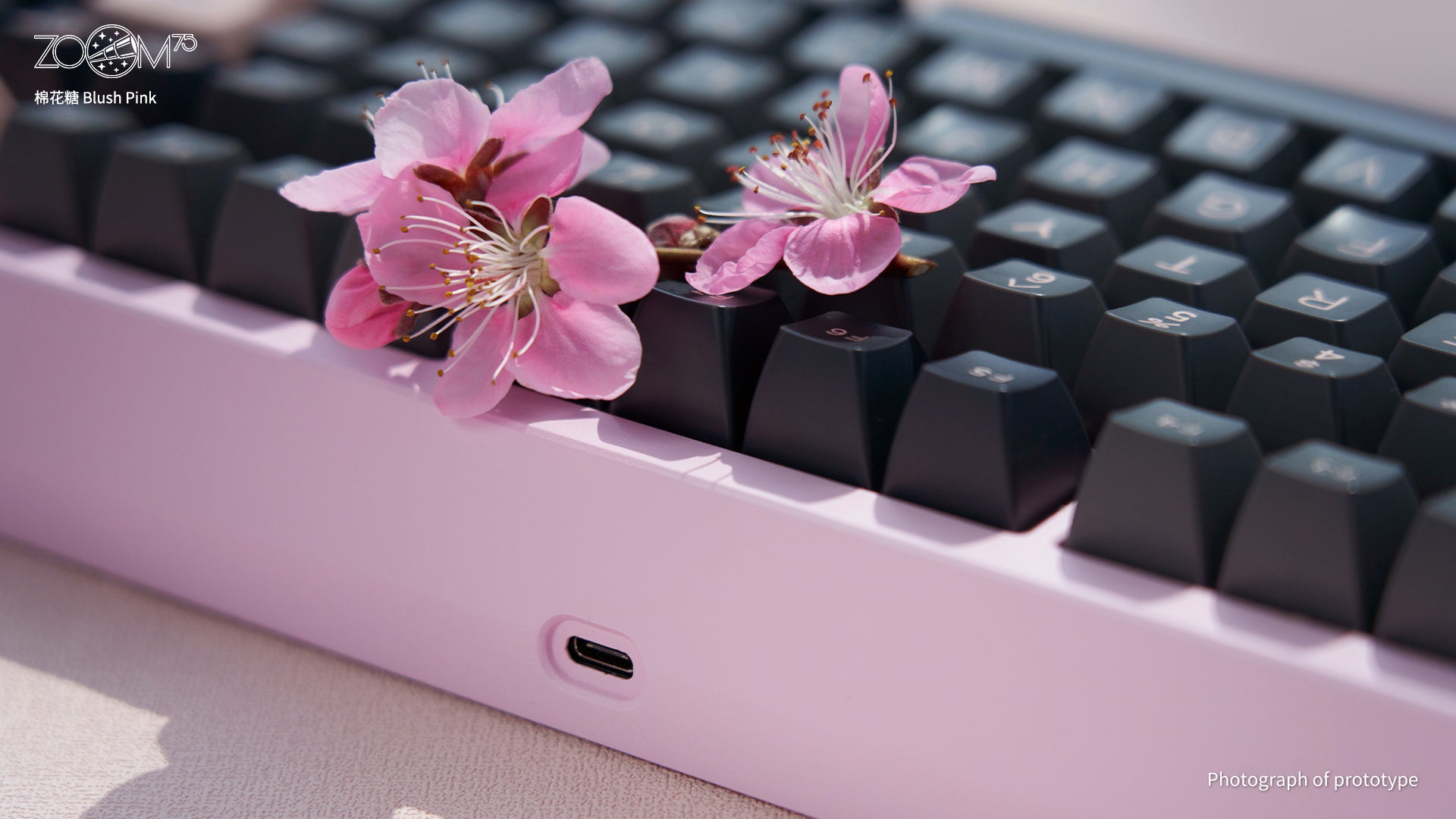 Zoom75 EE Keyboard - Blush Pink [Preorder]