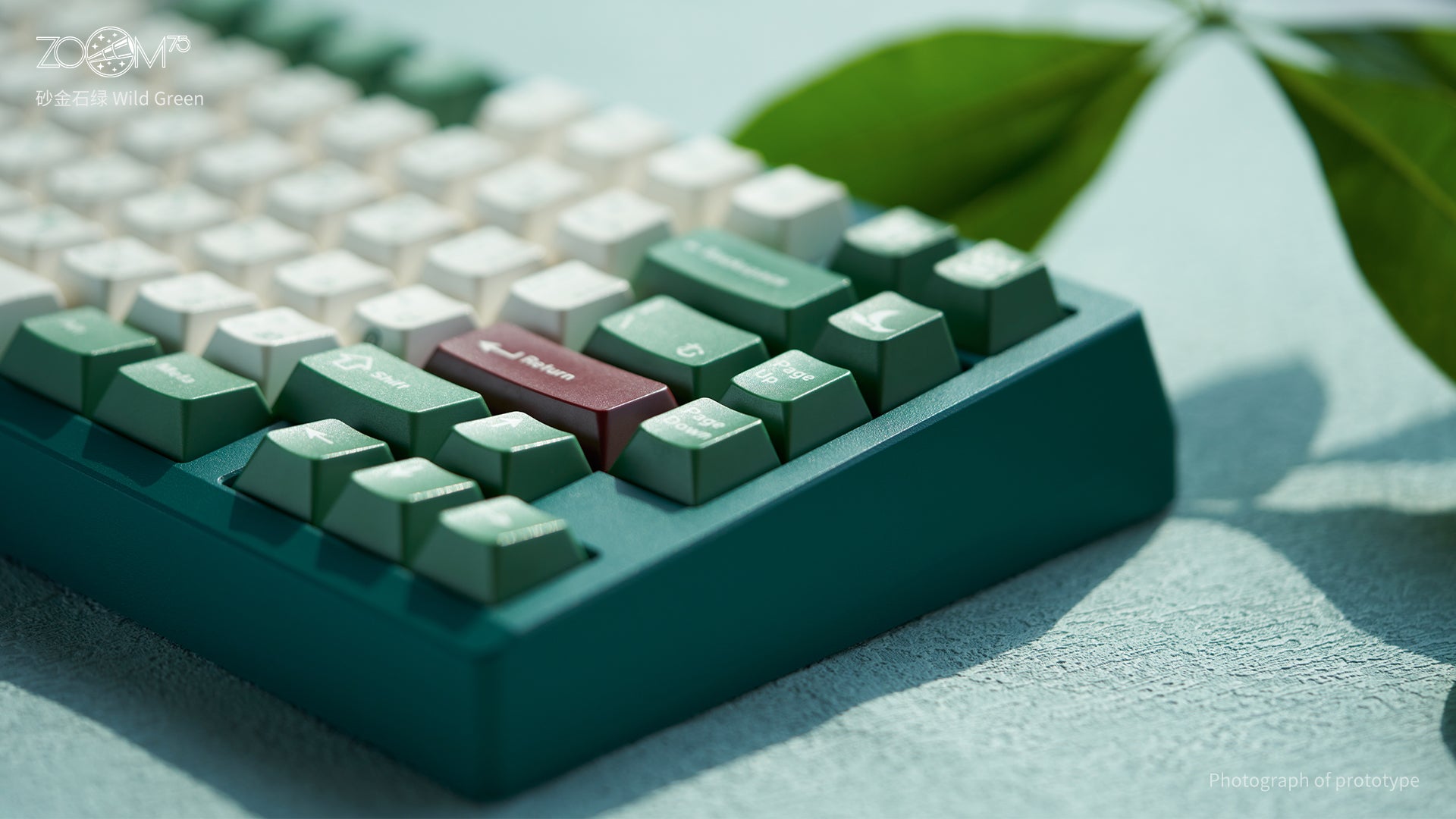 Zoom75 EE Keyboard - Wild Green [Preorder]