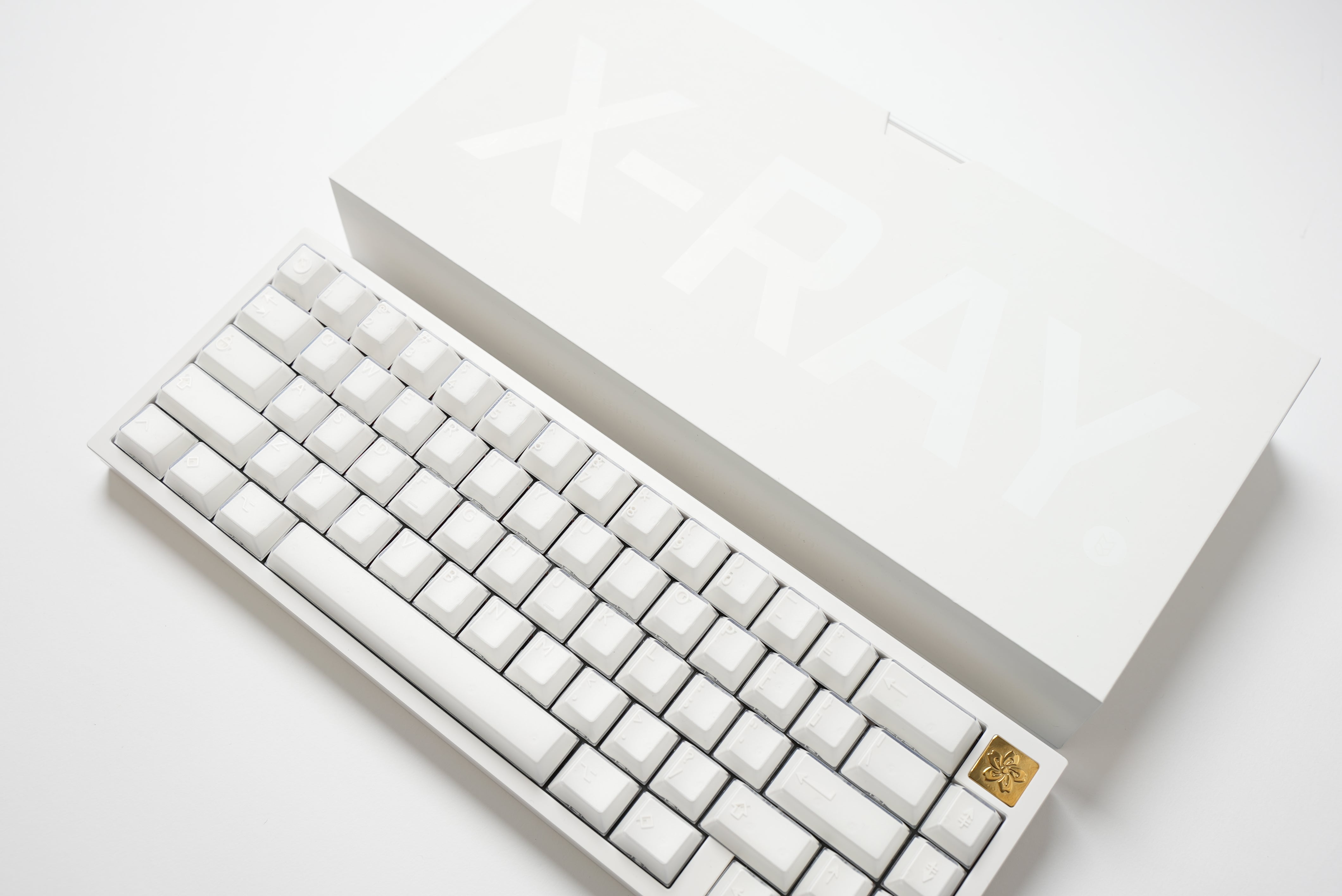 PBTFans X-Ray Keycaps