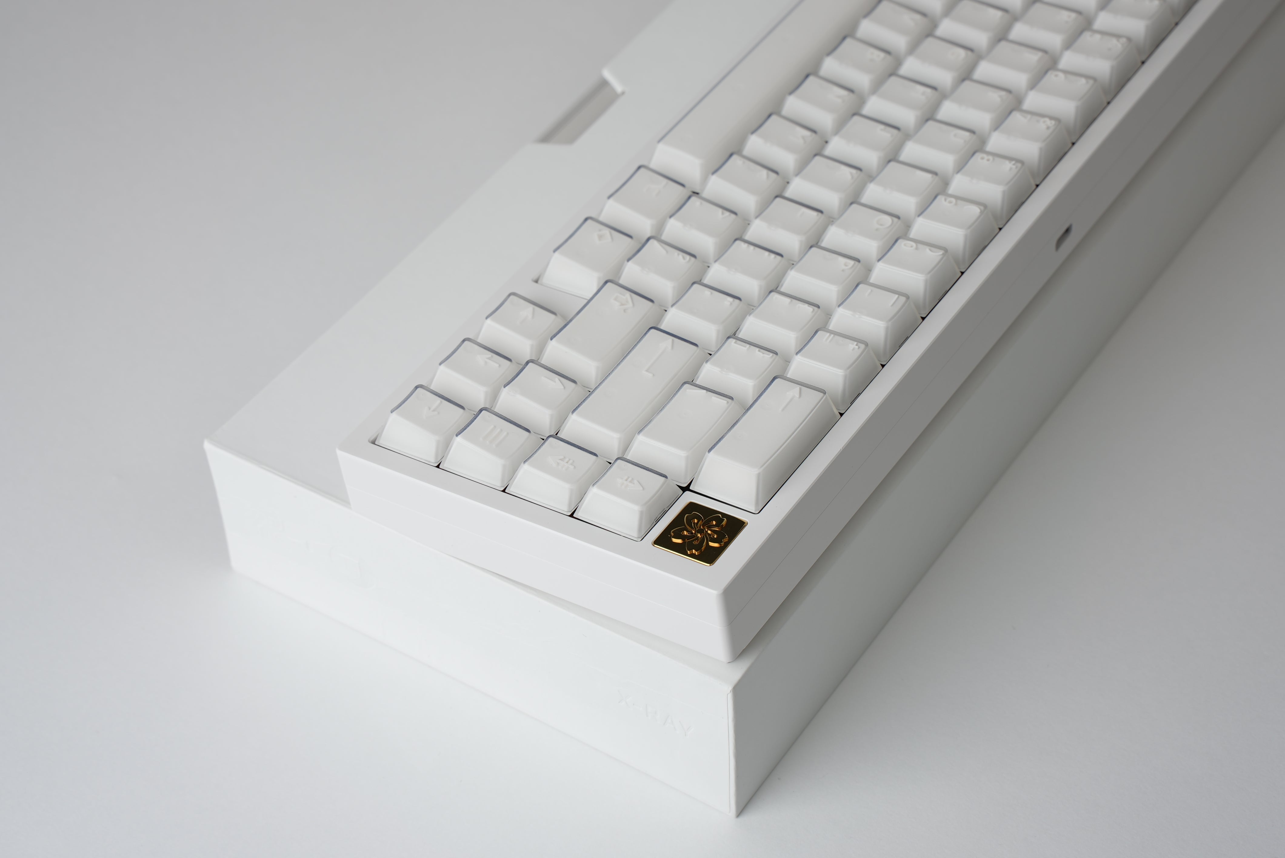 PBTFans X-Ray Keycaps