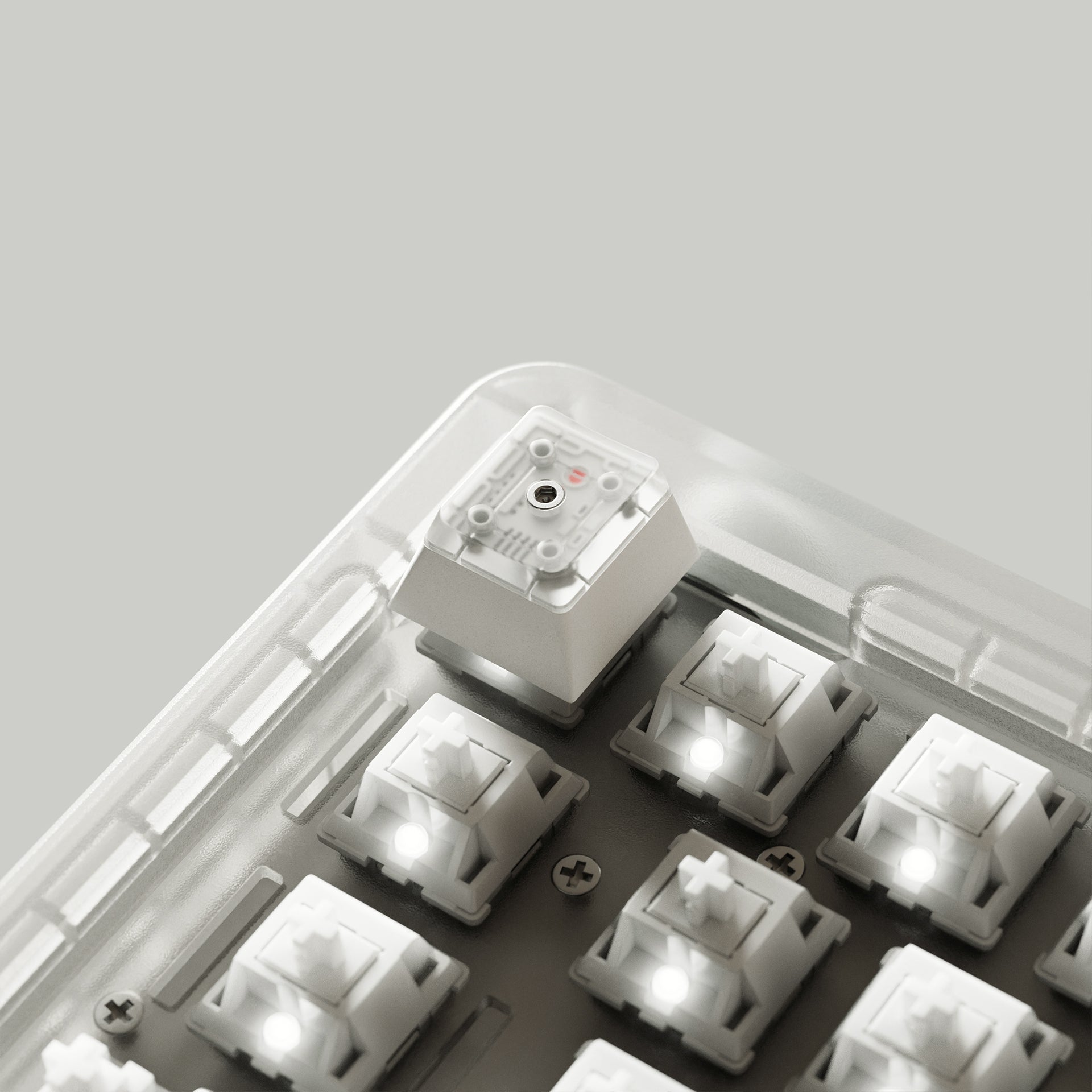 Artisan - Salvun X-Ray Keycap [Pre order Batch 1.5]