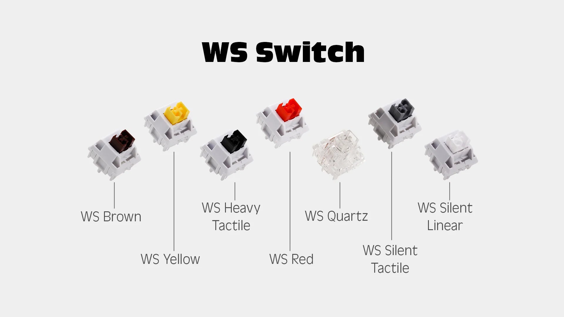 Paper80 - Bundle Switches [Group Buy]